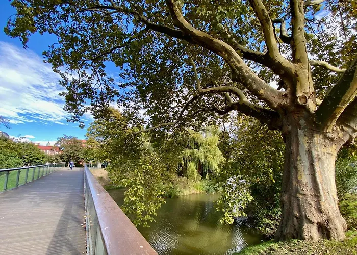 Bright Day - Self Check-in 24h, 10 Min Market Square Apartament *